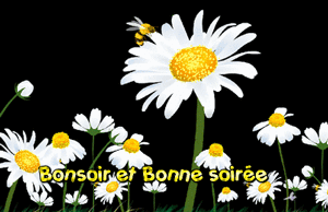 Gif animé bonne soirée fleurs blanches